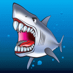 [Shark]