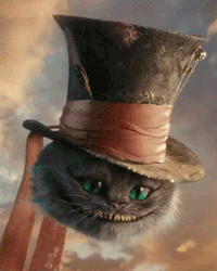 The Cheshire Cat's Avatar