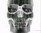 matrixskull