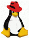 XLoopsteer