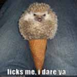 Ice_Cream
