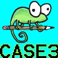 Case3