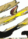 m60king