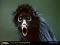 Monkey8823