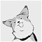 steamy_rice